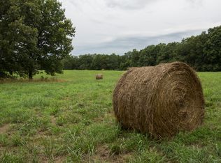 Tbd County Road 189, Dora, MO 65637