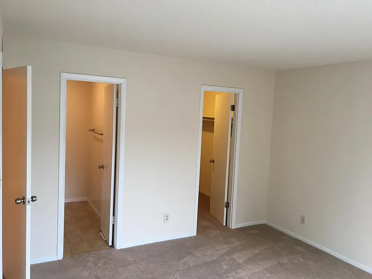 Half bath and walk-in closet in master bedroom