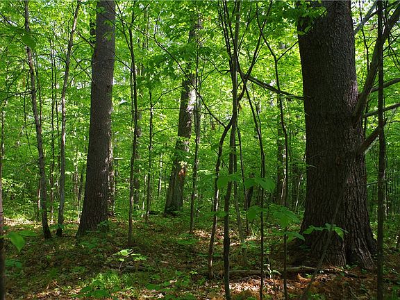 4th image of 0 County Rd E