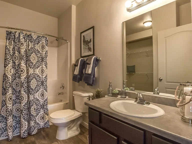 Model Master Bathroom