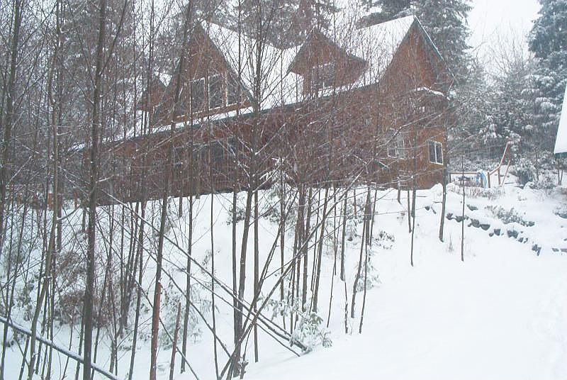 In the snow