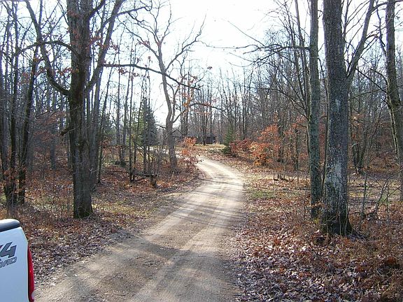 Main driveway back to the house