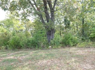 342 View Dr, Branson, MO 65616