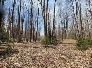 475 Denning Rd #28, Copenhagen, NY 13626