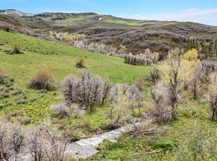 County Road 80, Hayden, CO 81639