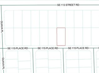 SE 115 PLACE ROAD LOT 9, OCKLAWAHA, FL 32179