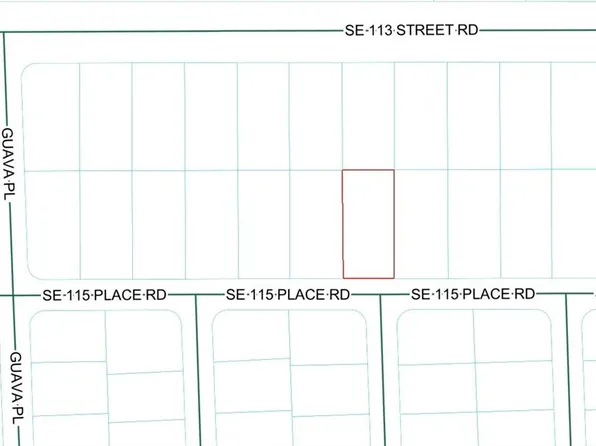 SE 115 PLACE ROAD LOT 9, OCKLAWAHA, FL 32179