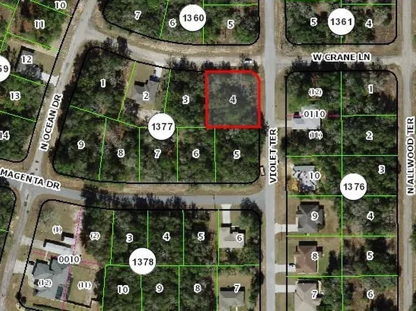 1614 W Crane Ln, Citrus Springs, FL 34434