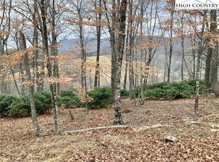 5 Horseshoe Creek Rd, Banner Elk, NC 28604