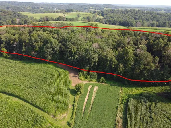 Fessey Rd, Wonewoc, WI 53968