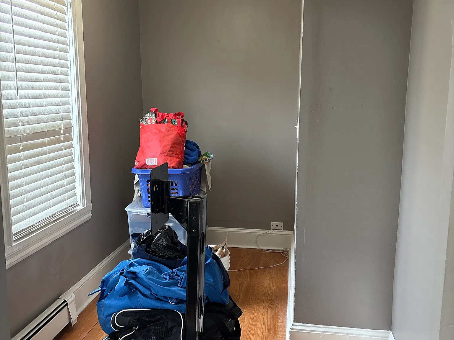 2 bed, 1000 sqft, $1,600 — Photo 2