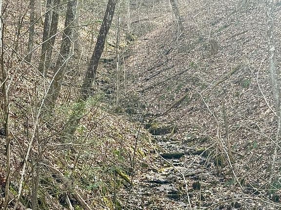 5th image of 0 Battle Branch Rd