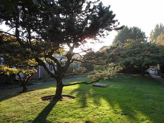 Garden courtyard
