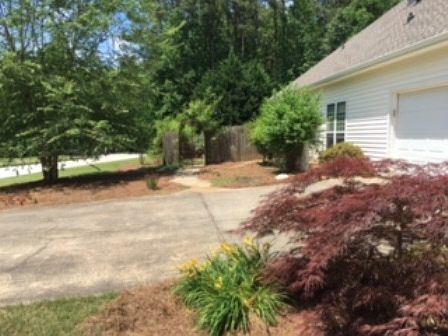 5th image of 155 Dorsett Dr