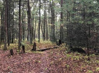 Stone Mountain Dr W, Andreas, PA 18211