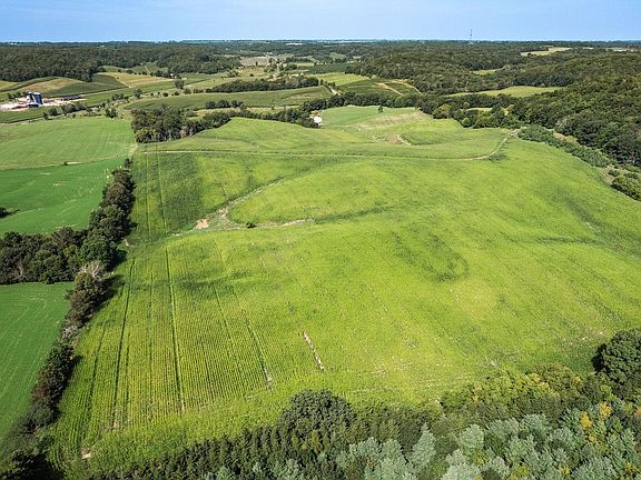 5th image of 50/- Acres Dank Ln