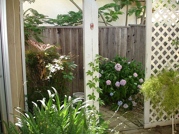 Back patio