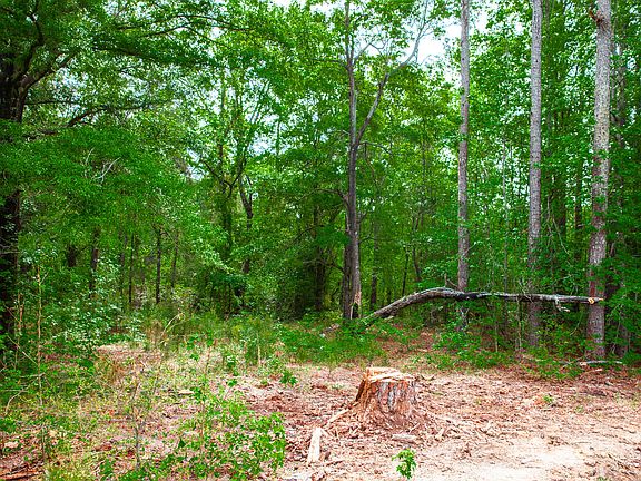 5th image of 1223 Appling Harlem Road