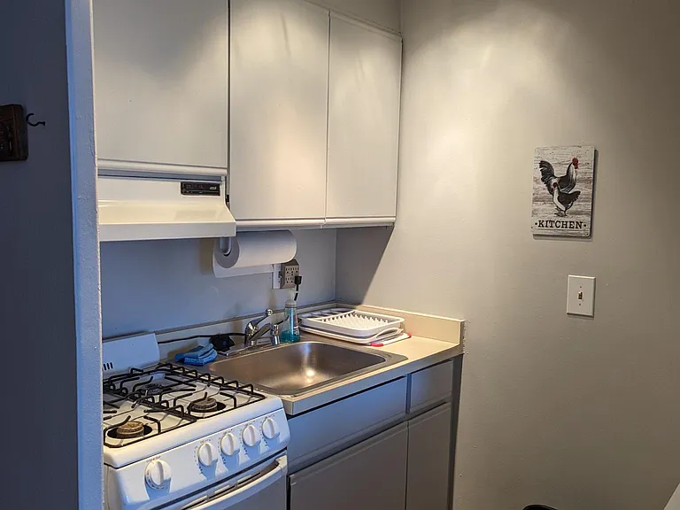 European Stove and Oven, large sink.