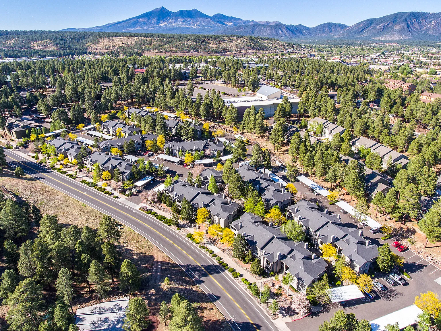 Forest Meadows Apartments — Photo 2