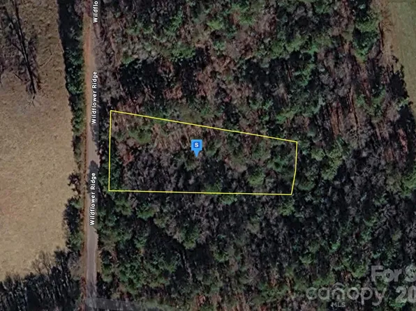 860 Wildflower Rdg, Warne, NC 28909