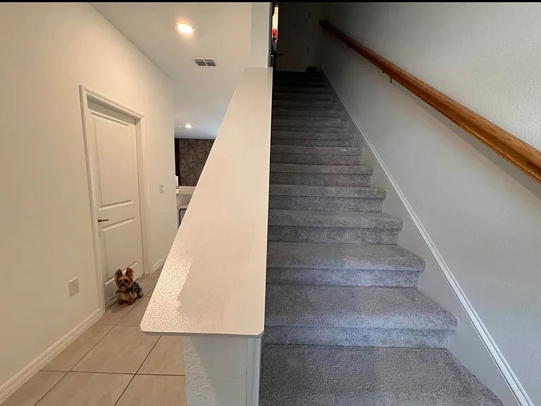 3335 Whooping Crane Dr — Photo 6