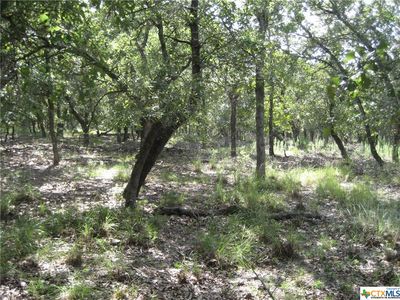 Tbt Fm #1117, Seguin, TX, 78155