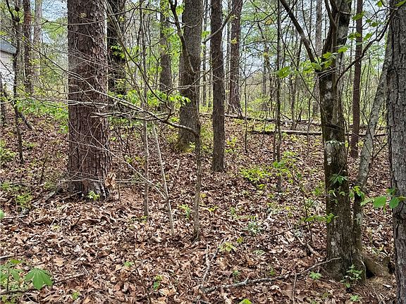 2nd image of LOT 24 Marshall Dr