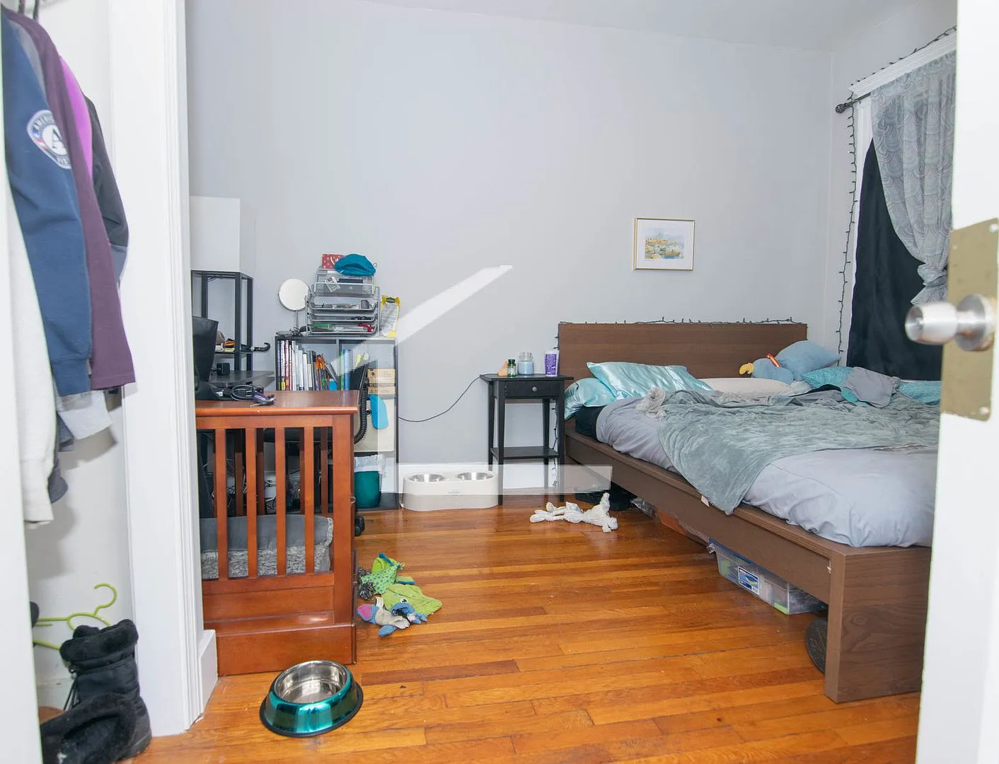 Huge 6 bed in Allston — Photo 3