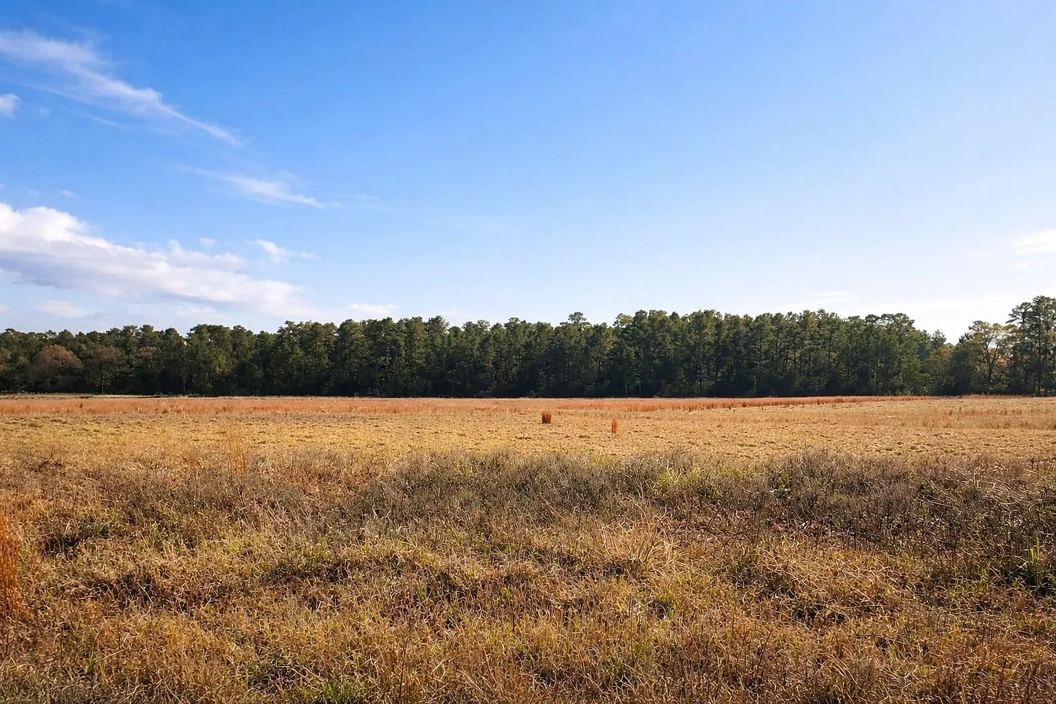 Clearlake Ln photo 1