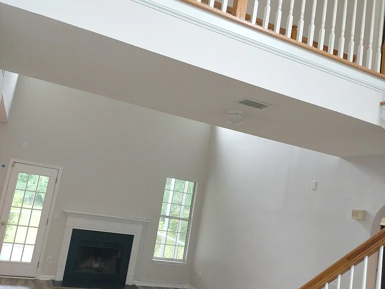 1248 Wild Olive Dr — Photo 5
