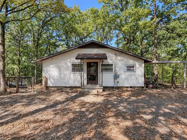 10252 Carter Cove Rd, Plainview, AR 72857