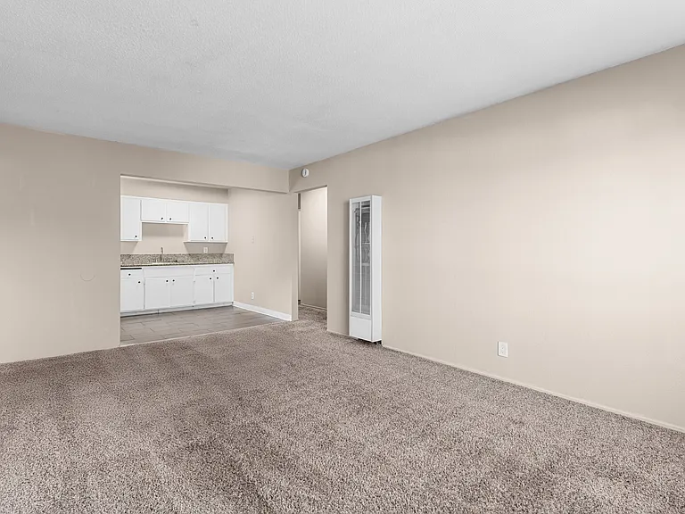 450 Jessie Ave #3 — Photo 10