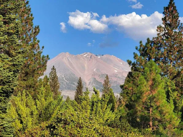 LOT 52 Hidden Meadow Dr, Weed, CA 96094