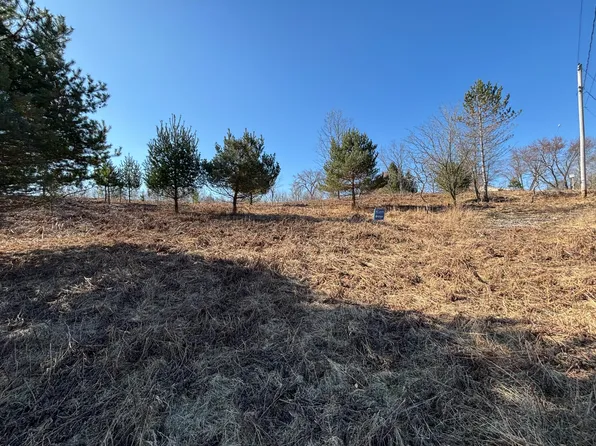 Chippewa Trl Lot 122, Evart, MI 49631