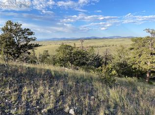 1991 Leonardo Ln, Hartsel, CO 80449