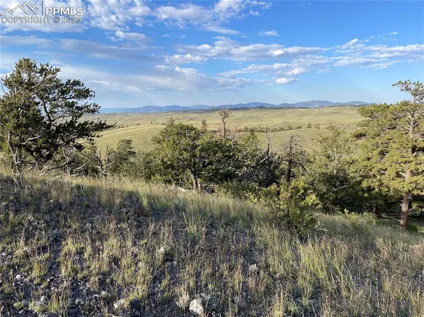 1991 Leonardo Ln, Hartsel, CO 80449