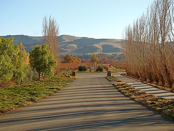 Entrance to Los Olivos