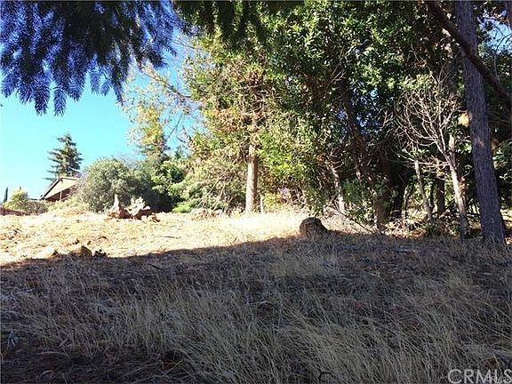 4th image of 3517 Fircrest Ct