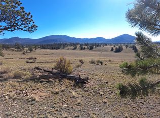 508 Grand Teton Drive, Hartsel, CO 80449