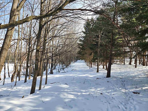 4th image of Peoples Rd