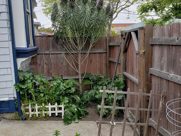 2144 Bonar St — Photo 21