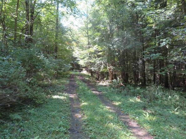 0 Emmonsburg Rd #3, Salisbury Center, NY 13454