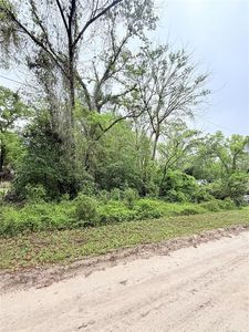8630 SW 82nd Ter LOT 14, Trenton, FL, 32693