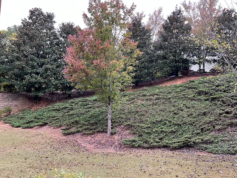 5867 Norfolk Chase Rd — Photo 25
