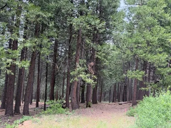 3129 Crystal Way, Arnold, CA 95223