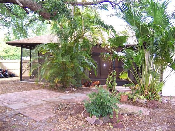 Backyard has mature tree and lots of interesting plants