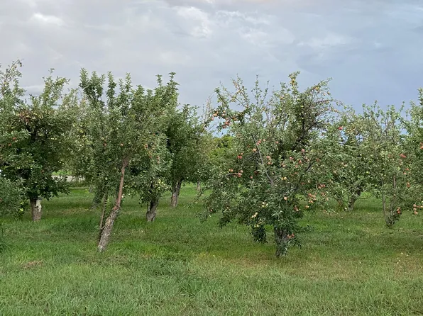 20 W Alary Ln #A, Corrales, NM 87048