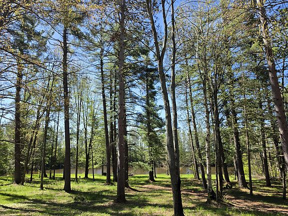 4th image of 1470 Helmer Lake Rd