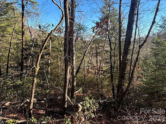 2nd image of LOT 19 Nicklaus Ln